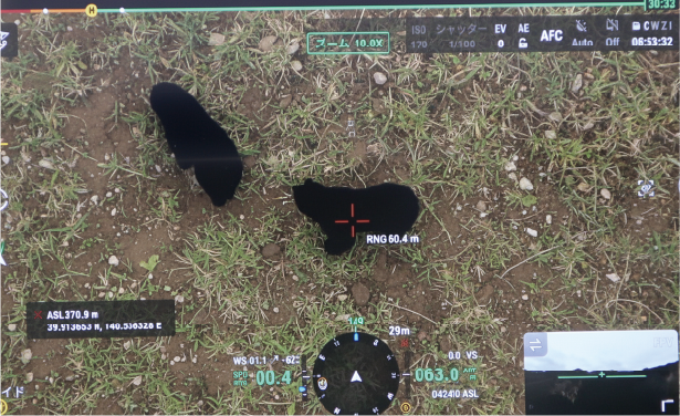 上空から熊を探索している様子